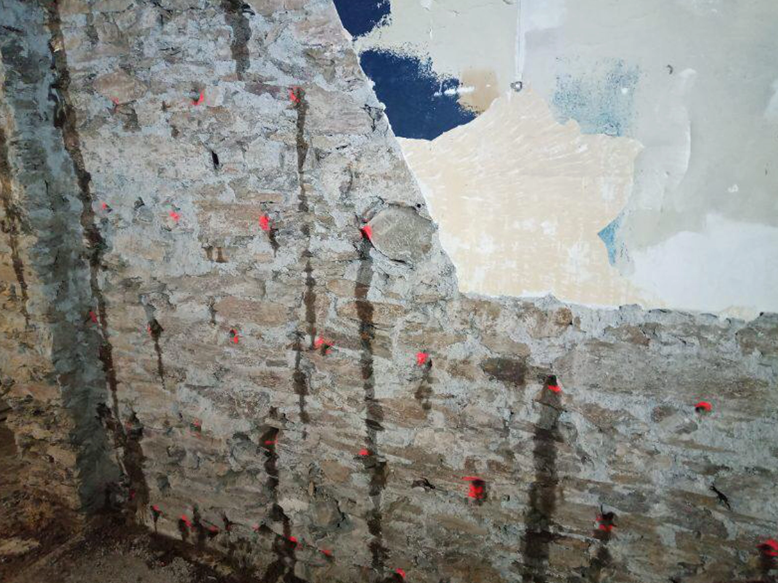 Assèchement bâtiment -traitement mérule