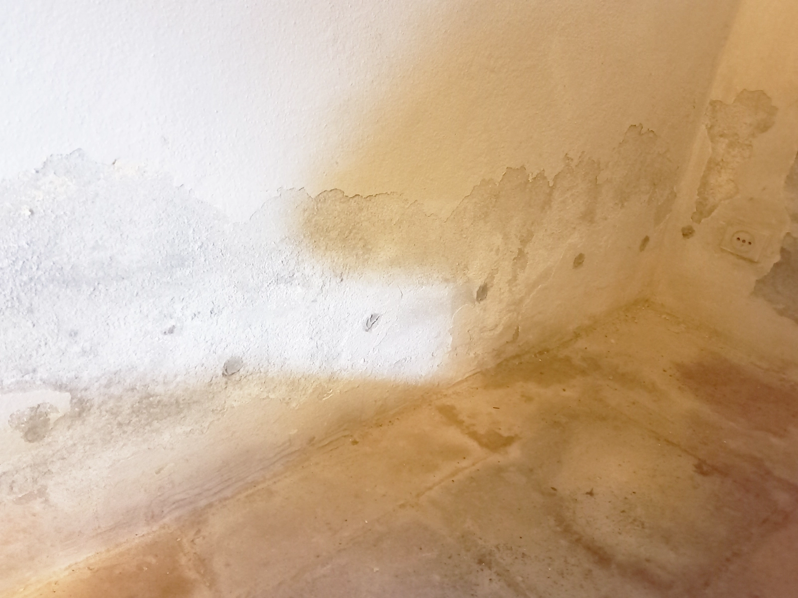 assèchement mur technique professionnelle humidité