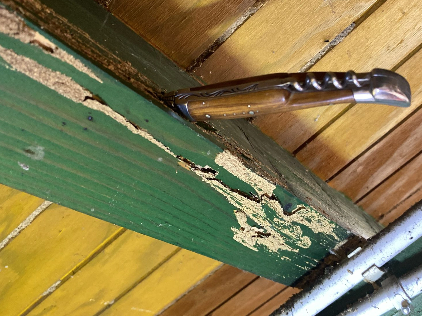 Diagnostic bois pour traitement charpente