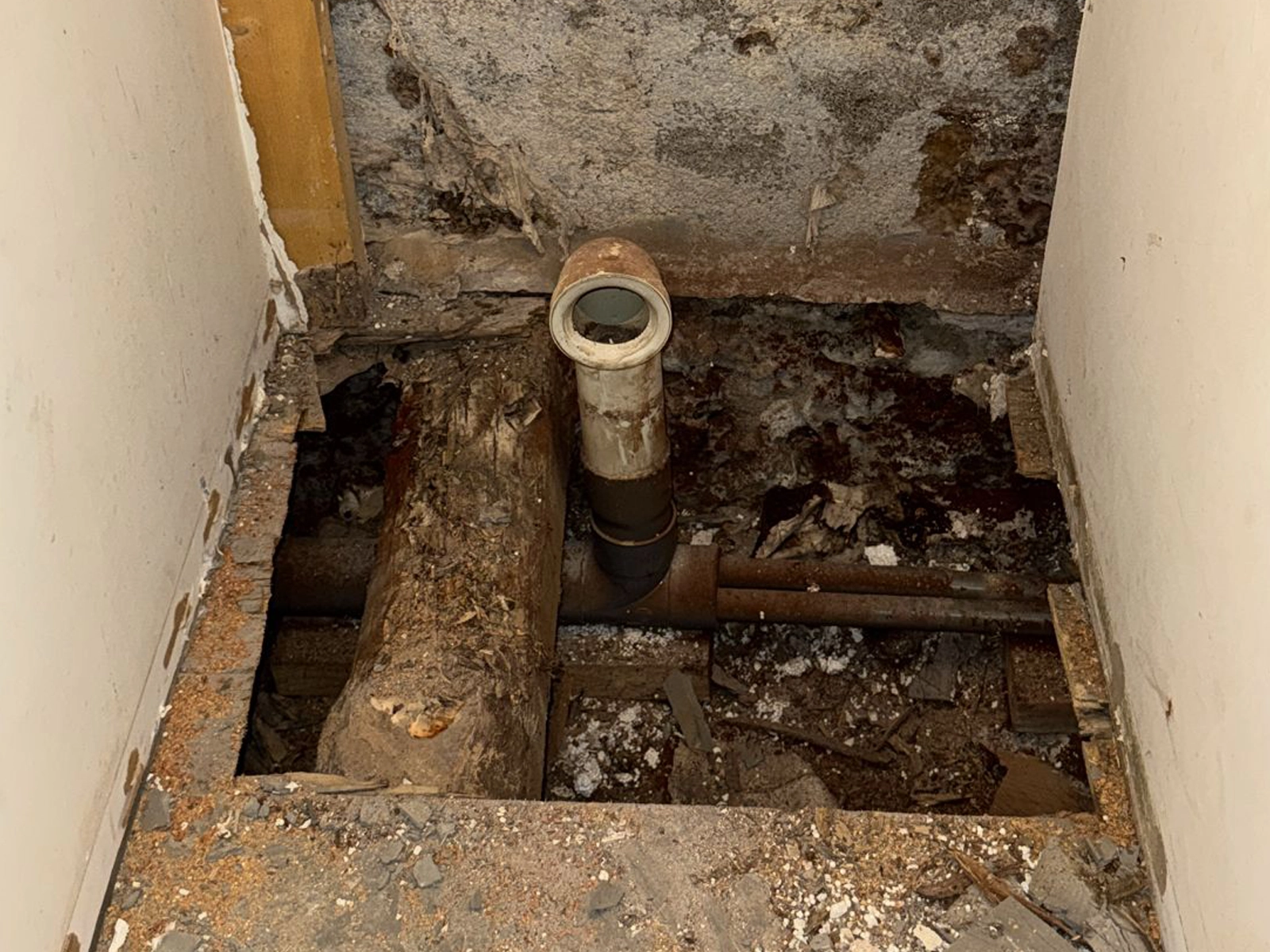 Humidité la cause d'une infestation de mérule