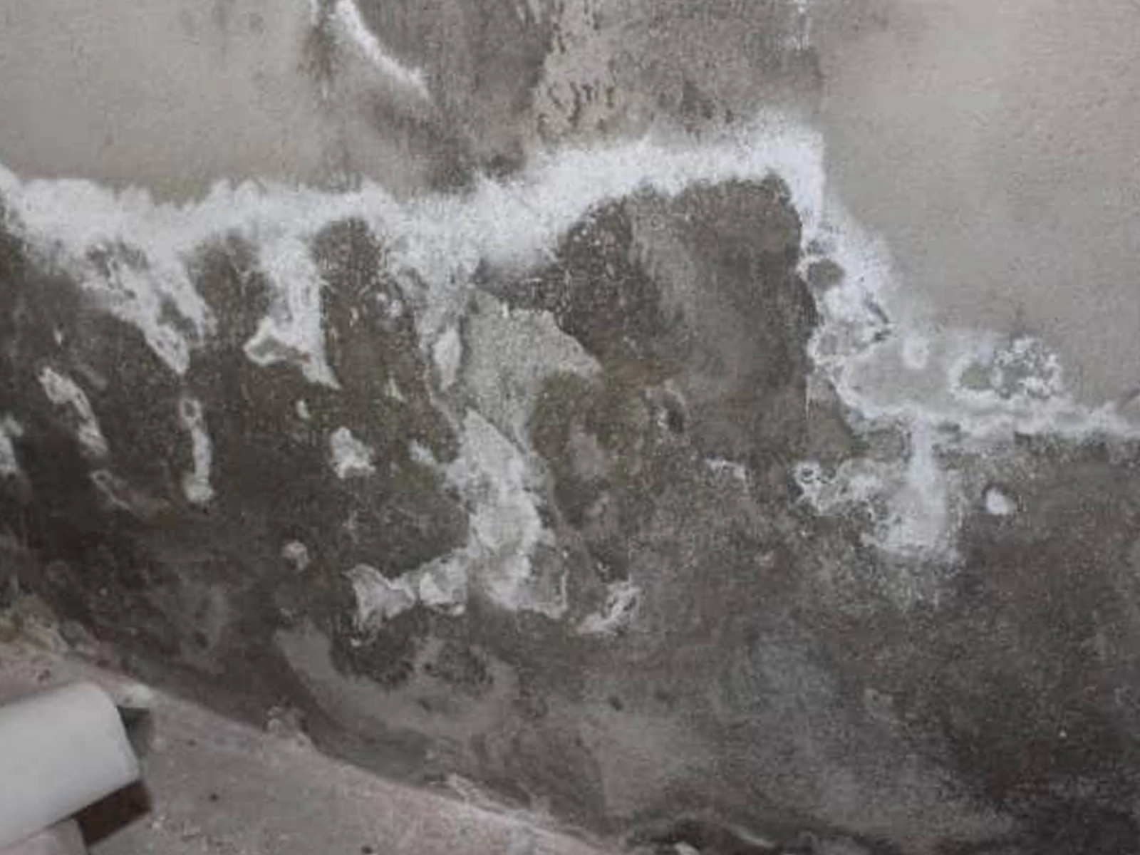 salpetre mur cave humidite remontée