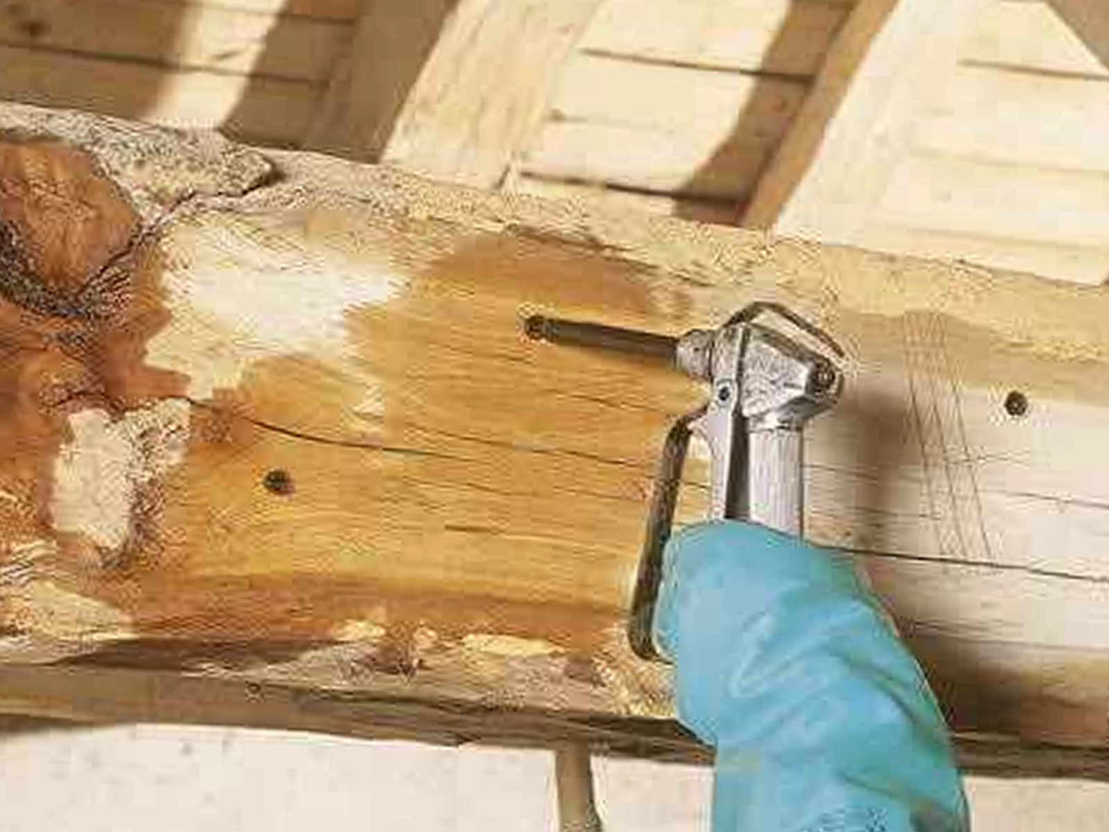 Traitement bois curatif par injection