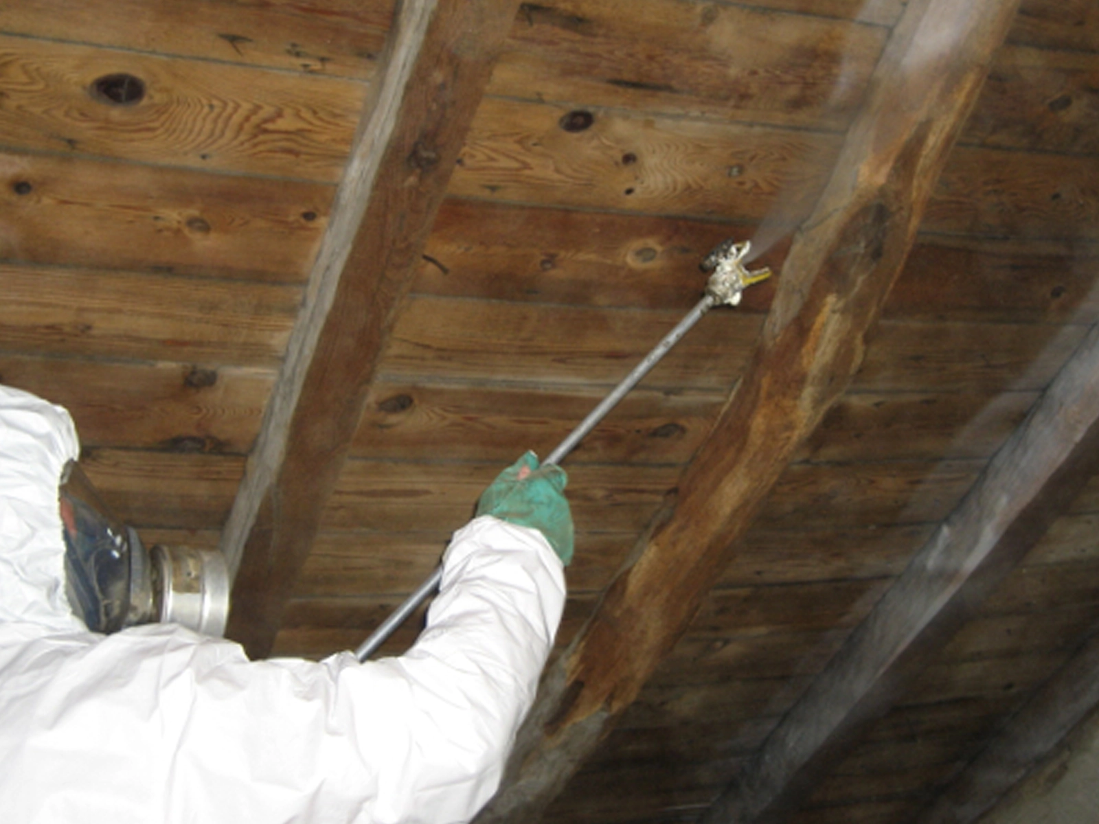 dégâts causés par le termiteTraitement de bois par pulvérisation xylophène