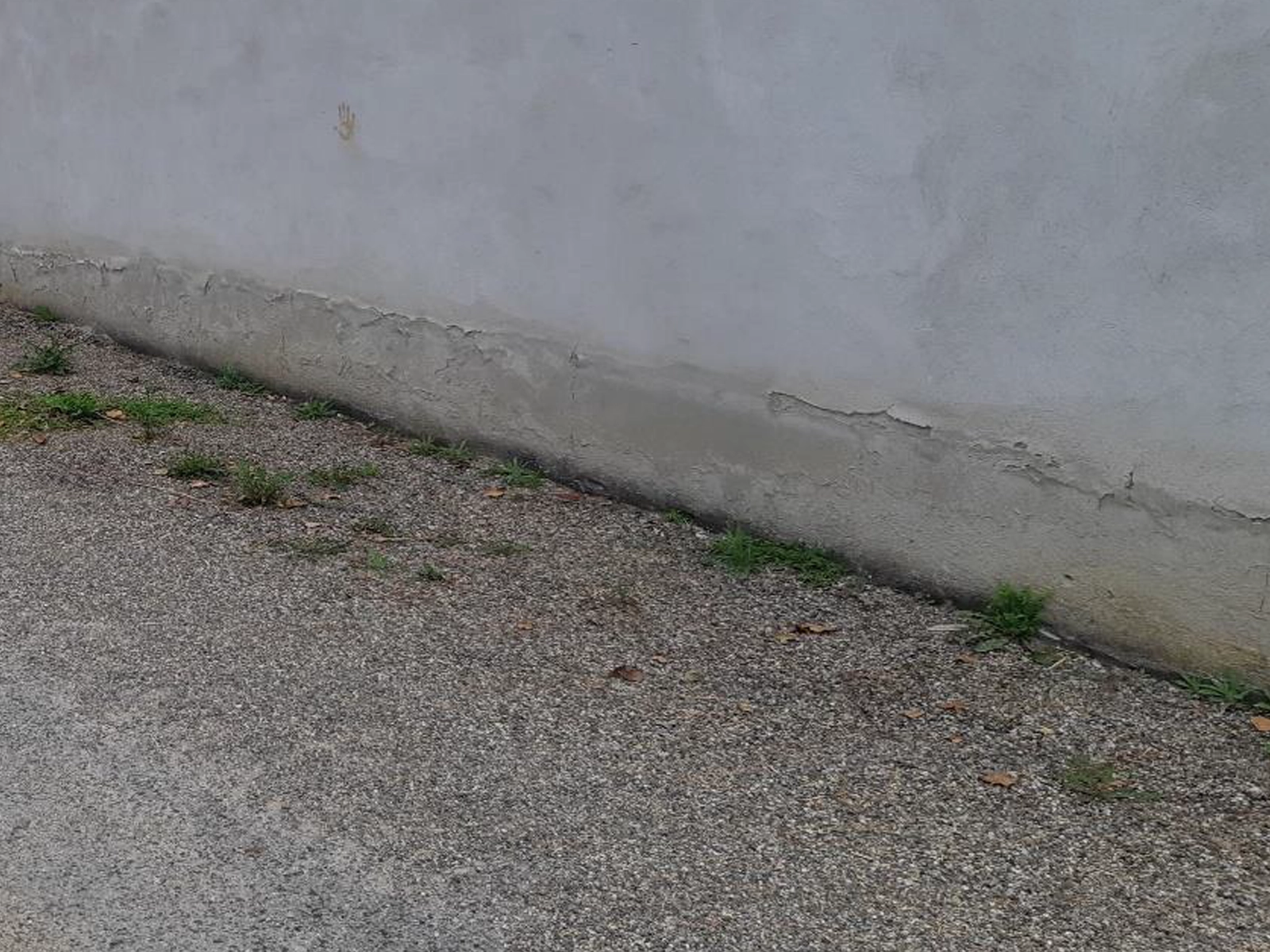 traitement remontée capillaire Toulouse mur humide